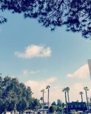 Leah Jenner Instagram - Symphony of the birds 🕊🎻