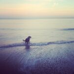 Leah Jenner Instagram – Happy guy