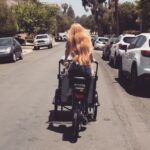Leah Jenner Instagram - Kid cargo