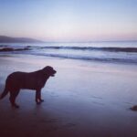 Leah Jenner Instagram -