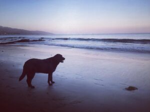 Leah Jenner Instagram - 