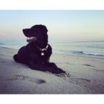 Leah Jenner Instagram - The dude.