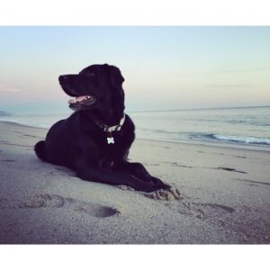 Leah Jenner Instagram - The dude.