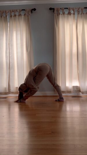 Leanna Decker Instagram - Movement to find stillness ✨

Also, socks   wood floor is 👌👌

#pyramid #yoga #splits #asana