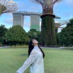 Lee Chae-yeon Instagram - #더트래블로그🇸🇬 @sbsfil @sbsm #singapore #singaporeair #marinabaysands