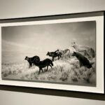 Lee Chung-ah Instagram - / Hiroshi Sugimoto : Time Machine 베이징 여행, 최고의 순간 2 중 2 #HiroshiSugimoto #Beijing