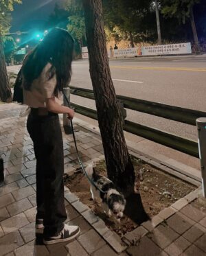 Lee Chung-ah Instagram - 비틀비틀 밤산책

2/ 심장어택주의
3/ He tied me up
5/ 뷰티풀
6/ 레이저오복좋아