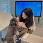 Lee Chung-ah Instagram - 모모씨