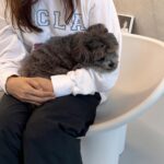 Lee Chung-ah Instagram - 모모씨
