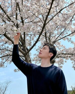 Lee Dong-wook Instagram - 벚꽃 예쁘다🌸🩷
