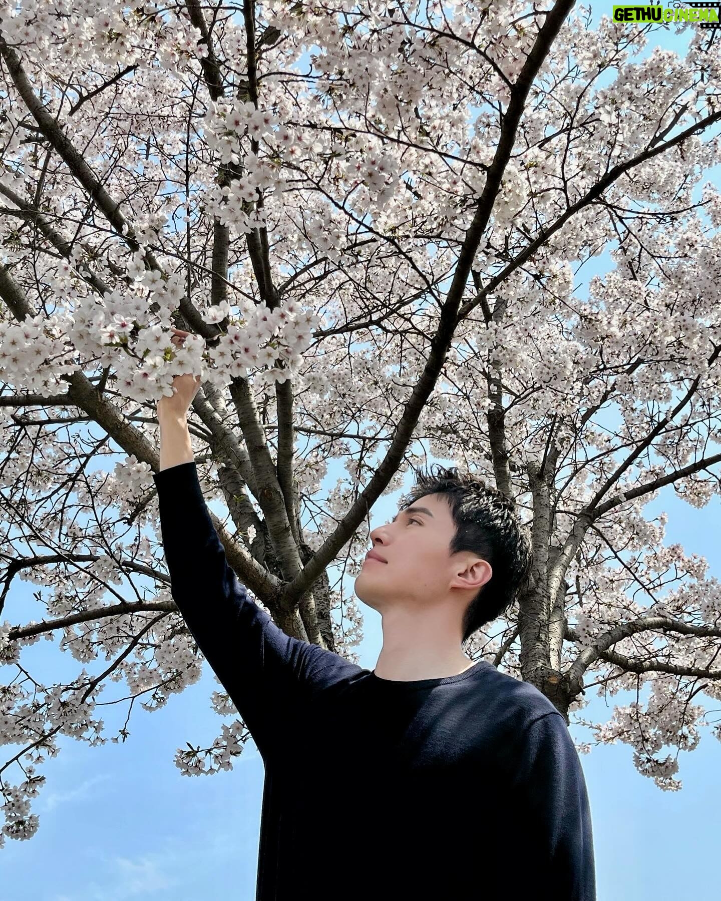 Lee Dong-wook - 1.5 Million Likes - 벚꽃 예쁘다🌸🩷
