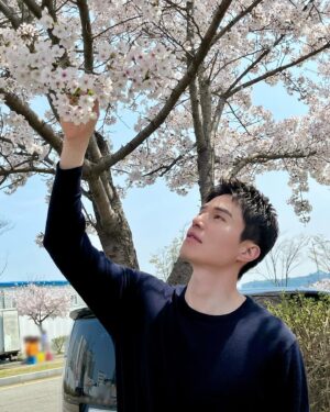 Lee Dong-wook Instagram - 벚꽃 예쁘다🌸🩷