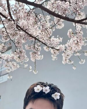 Lee Dong-wook Instagram - 벚꽃 예쁘다🌸🩷