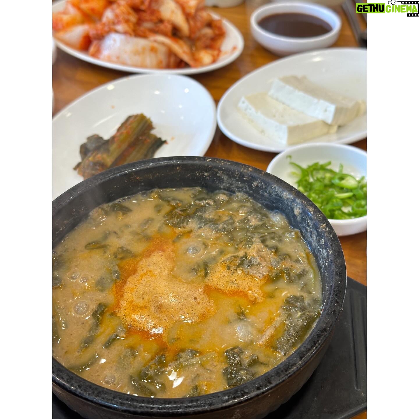 Lee Gook-ju Instagram - #테니스모임 두둥탁!! 밥 계산할때만 홍일점이란다... @gangjiniii 가만안둬 어제 한 잔 하신분들로 코트장에 알콜 냄새가 났다고.. ㅋㅋ 담에 일욜밤에 다같이 마시고 월욜 아침에 한번 칩시다 오늘 아침 레슨부터 세시간 게임에 추어탕까지 완벽했음🖐🏻 다들 한주 잘 보내구 만나욥👍🏻 . #금문테니스 #금문테니스장화전점 #테린이 #연예인테니스