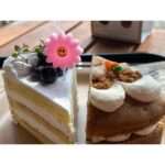 Lee Gook-ju Instagram - #달달구리 날씨가 좋아서 여기까지 왔네..🌸 칭구야 이제 한식도 좀 먹을까? @sweeteunji0817