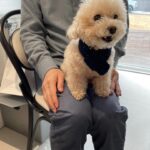 Lee Hae-ri Instagram - 요즘 젤 좋아하는!!!! 자가비 케첩맛…초코파이 바나나…. 넘 예쁜 올리비에🫒 그리고…목도리 쟈감이🤎