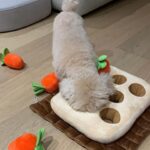 Lee Hae-ri Instagram - 당근밭이 이렇게나 무섭습니다🥕 이모부랑 엄마가 하나도 안 도와줘서 속땽한 감쟈 처음은 항상 어렵다 끄치🤎 #당근밭중독자#실지로는당근싫어함#당근다뱉음