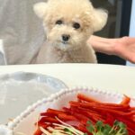 Lee Hae-ri Instagram - 당근밭이 이렇게나 무섭습니다🥕 이모부랑 엄마가 하나도 안 도와줘서 속땽한 감쟈 처음은 항상 어렵다 끄치🤎 #당근밭중독자#실지로는당근싫어함#당근다뱉음