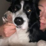 Lee Ho-jung Instagram - 2022🐾