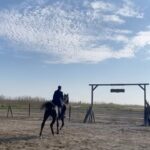 Lee Ho-jung Instagram - #도적 아직 안본사람? 🐎🐎 Who hasn't seen #songofthebandits yet?😶