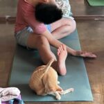 Lee Hyo-ri Instagram - I was so happy. Everyone who was with me today, Shanti!Shanti!🦋thanks to yoga pod ~🙏