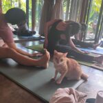 Lee Hyo-ri Instagram - I was so happy. Everyone who was with me today, Shanti!Shanti!🦋thanks to yoga pod ~🙏