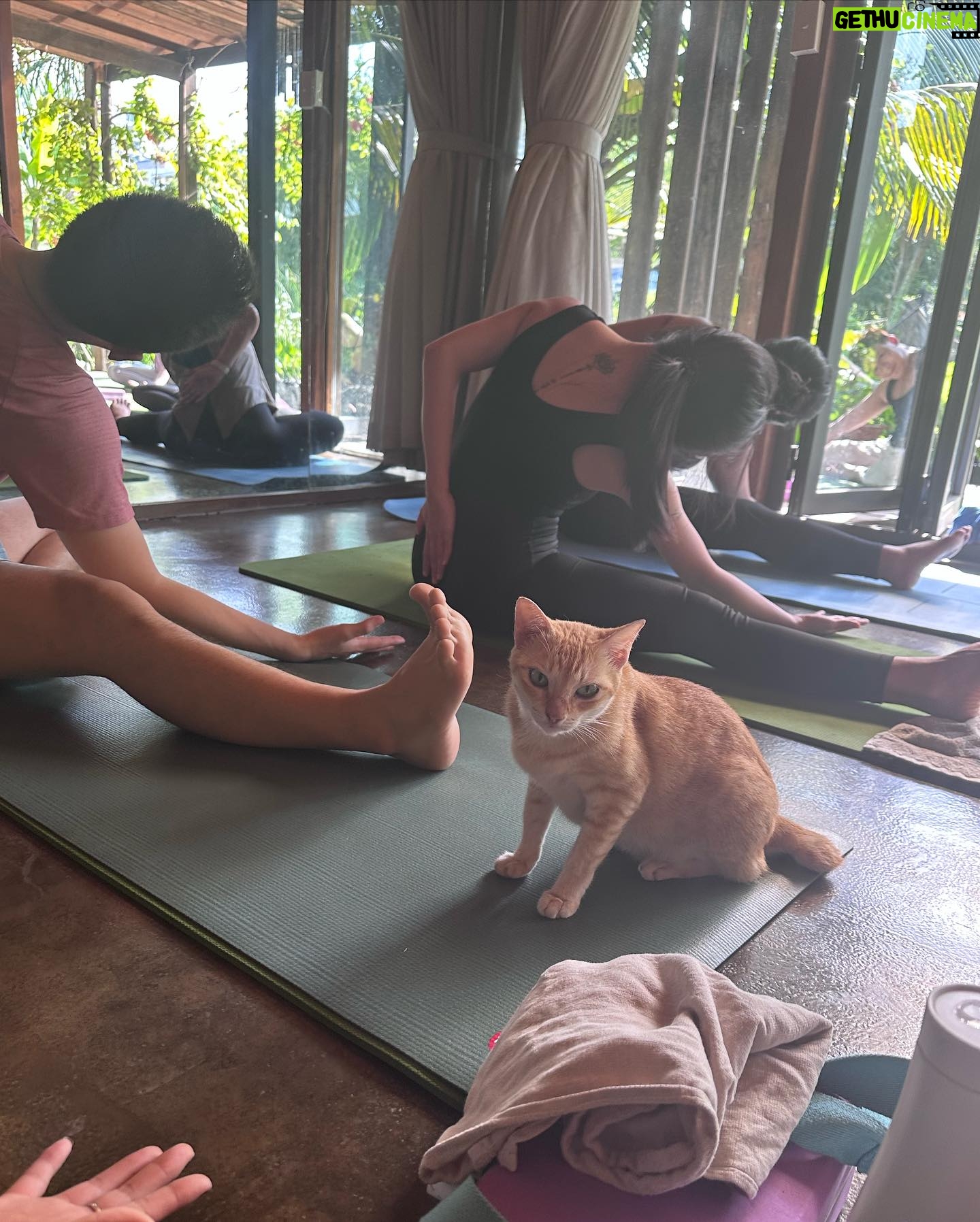 Lee Hyo-ri Instagram - I was so happy. Everyone who was with me today, Shanti!Shanti!🦋thanks to yoga pod ~🙏