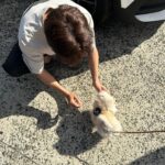 Lee Hyun-woo Instagram - 오늘도 사랑스럽개🐶