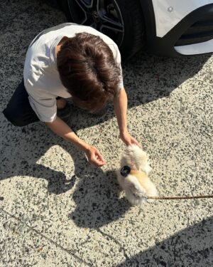 Lee Hyun-woo Instagram - 오늘도 사랑스럽개🐶