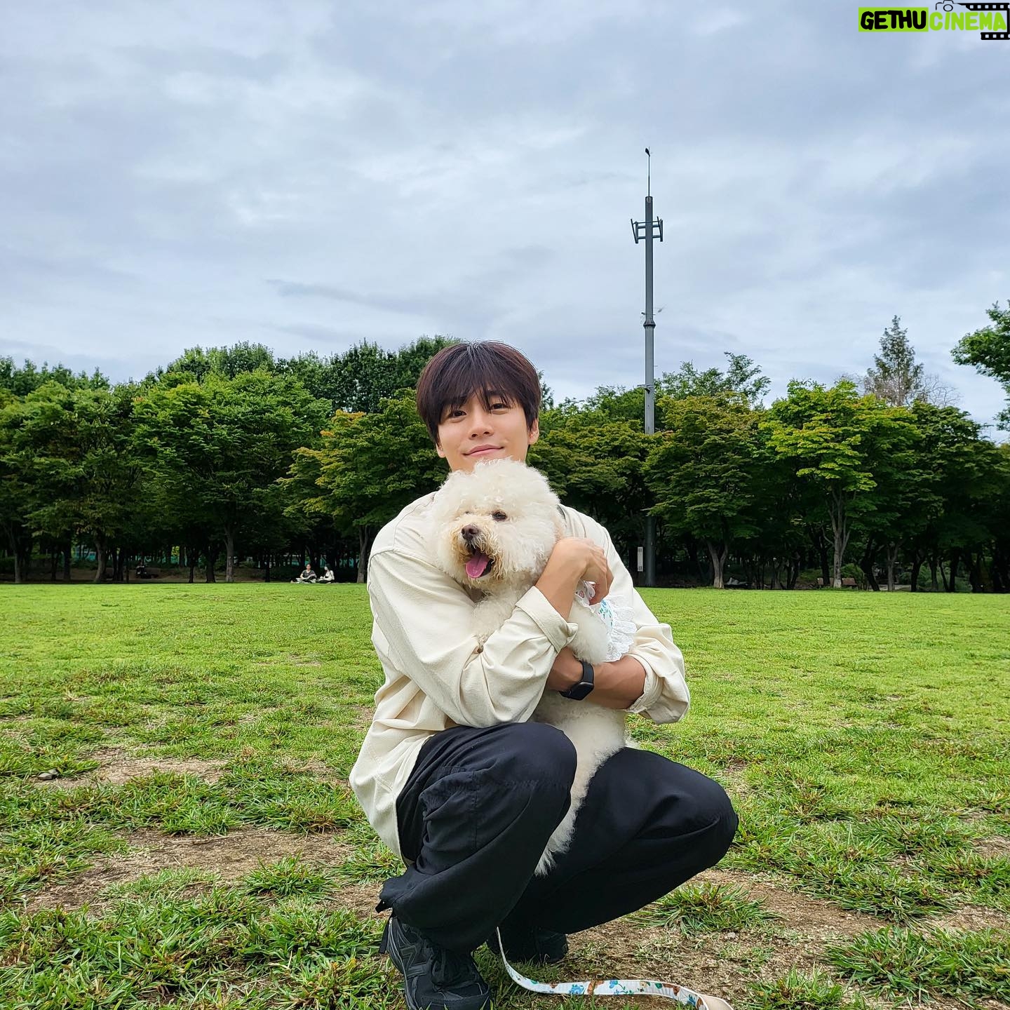 Lee Hyun-woo - 182.2K Likes - 🐶