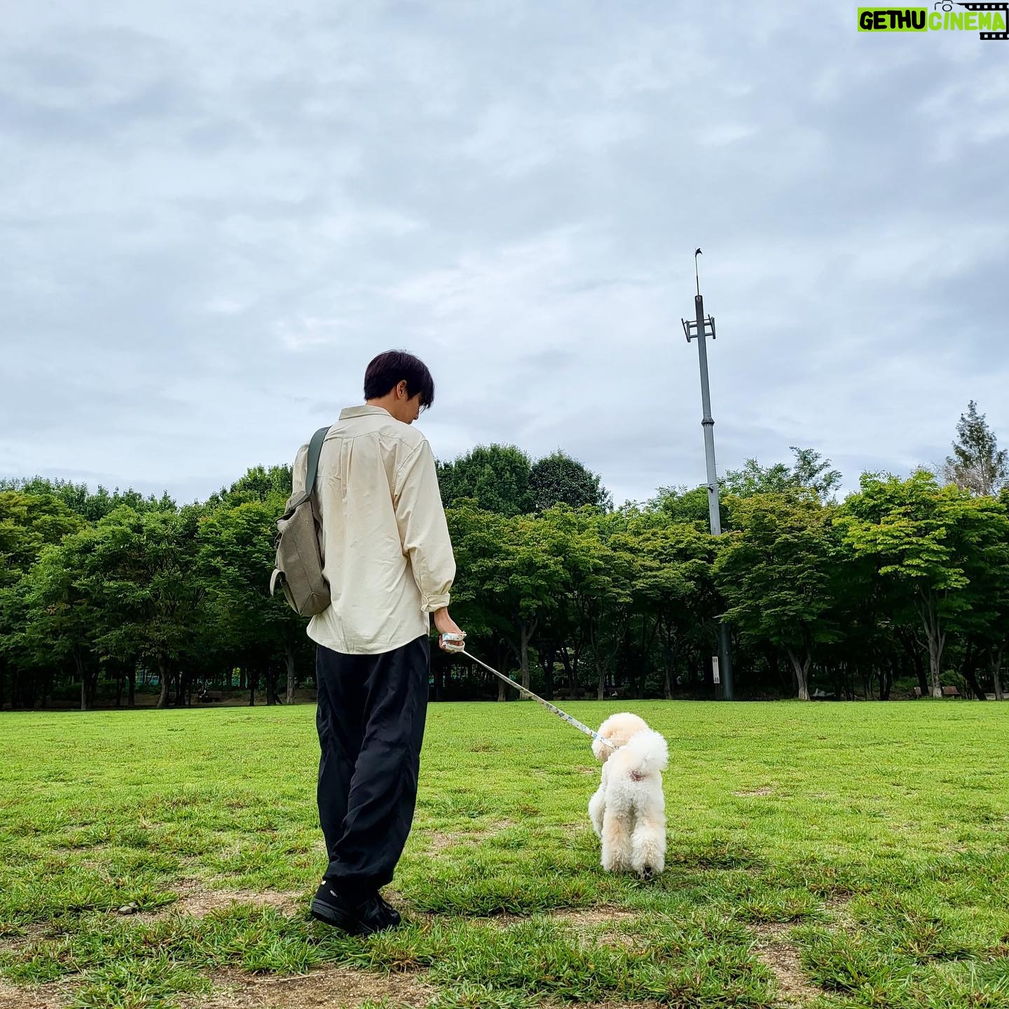 Lee Hyun-woo - 182.2K Likes - 🐶