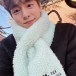 Lee Hyun-woo Instagram - 오늘도 사랑스럽개🐶🐯