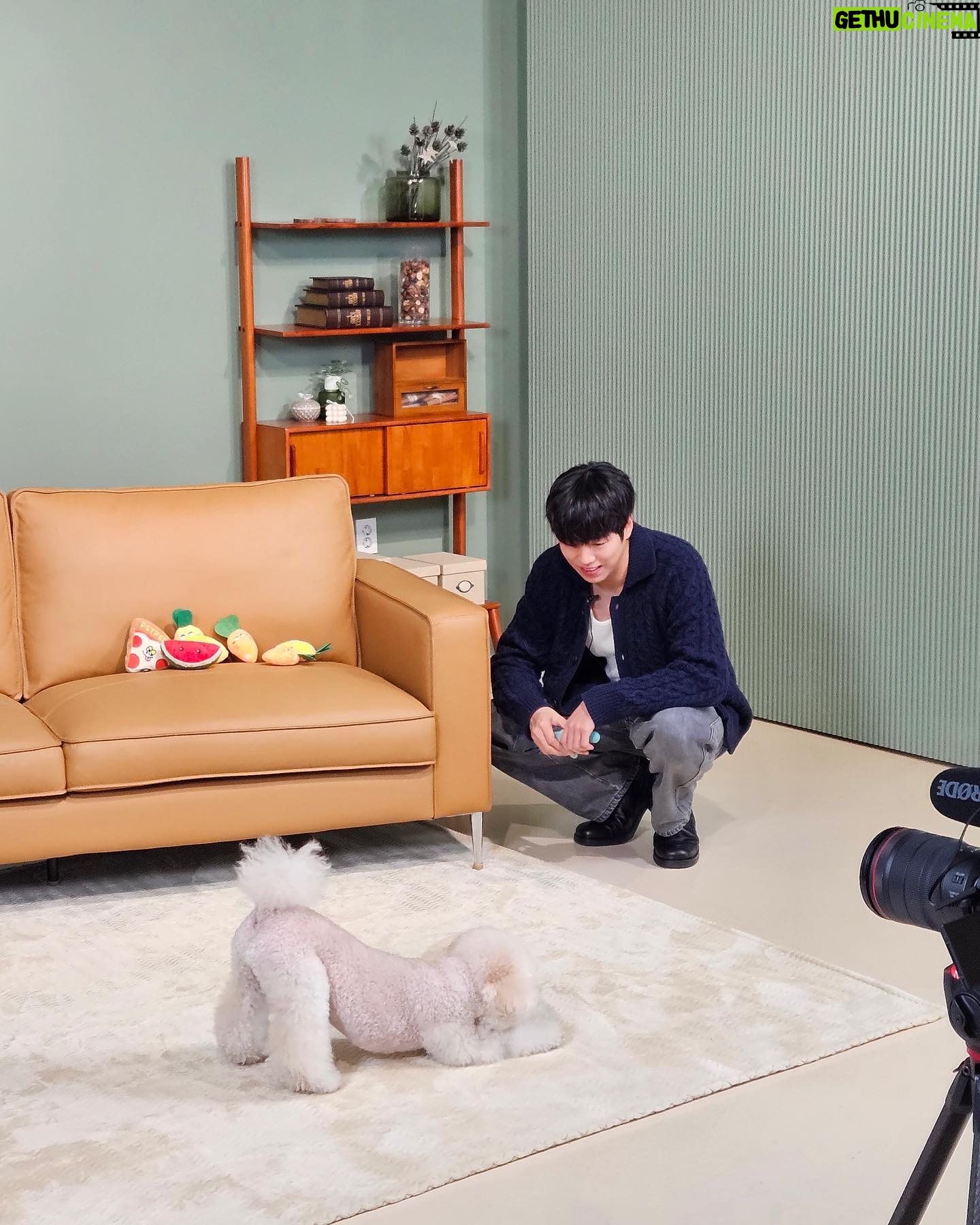 Lee Hyun-woo - 134.3K Likes - 하늘이랑 도그데이즈🐶 #도그데이즈 #2월7일개봉
