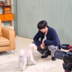 Lee Hyun-woo Instagram - 하늘이랑 도그데이즈🐶 #도그데이즈 #2월7일개봉