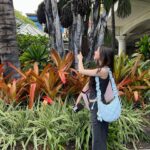 Lee Se-young Instagram - ☘️🌴🤍