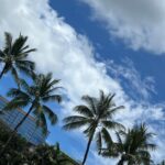 Lee Se-young Instagram - ☘️🌴🤍
