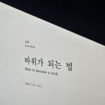 Lee Se-young Instagram - ◽️