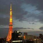 Lee Se-young Instagram - どこにでもあるよ 🗼