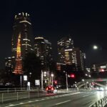 Lee Se-young Instagram - どこにでもあるよ 🗼