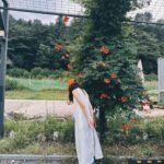 Lee Sun-bin Instagram - 🌺📸