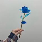 Lee Yu-bi Instagram - 💙🌹