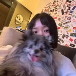 Lee Yu-bi Instagram - 🐶🐶🐾