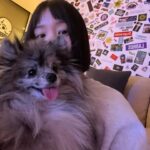 Lee Yu-bi Instagram - 🐶🐶🐾