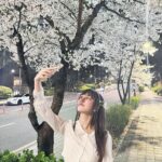 Lee Yu-bi Instagram – 밤 벚꽃🌸💕