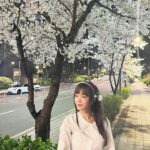 Lee Yu-bi Instagram – 밤 벚꽃🌸💕