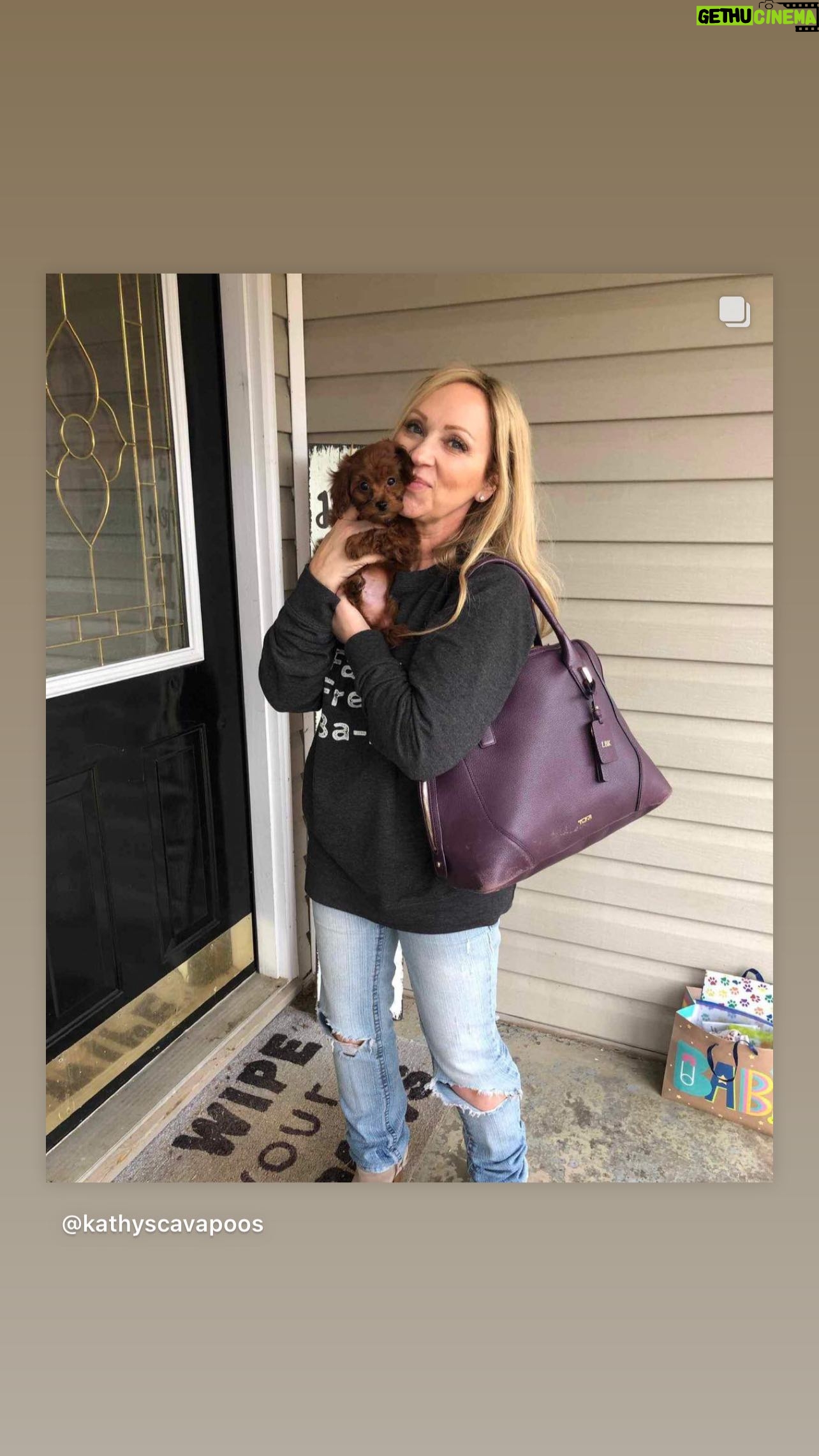 Leigh-Allyn Baker Instagram - I love my dogs. They are family! #dogsofinstagram #dogs #puppiesofinstagram #family #puppylove