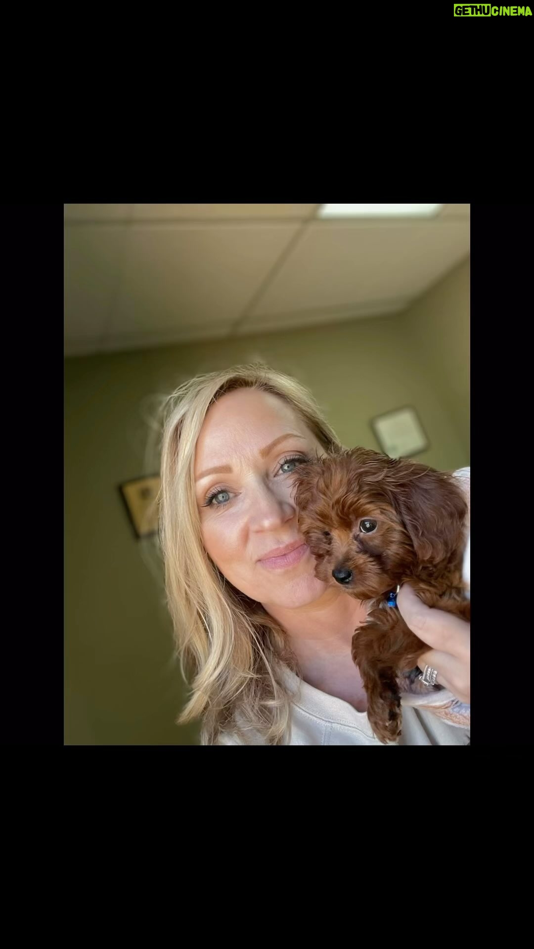 Leigh-Allyn Baker Instagram - All you need is love! And puppies don’t hurt either! Introduce the newest member of our family… LEO!!💕 Good Luck, Leo! #puppiesofinstagram #dogsofinstagram #valentines #valentinesday #cavapoo #puppylove #goodluckcharlie #puppy #dog