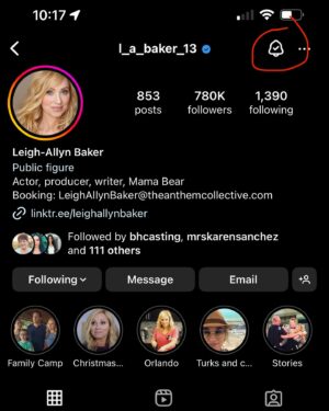 Leigh-Allyn Baker Instagram - Comment “BABAM” after you’ve done it! Save and share with others who might need to do it! Can’t wait to share the announcement!☺️ 

#babam #shadowbanned #censored #cancelculture