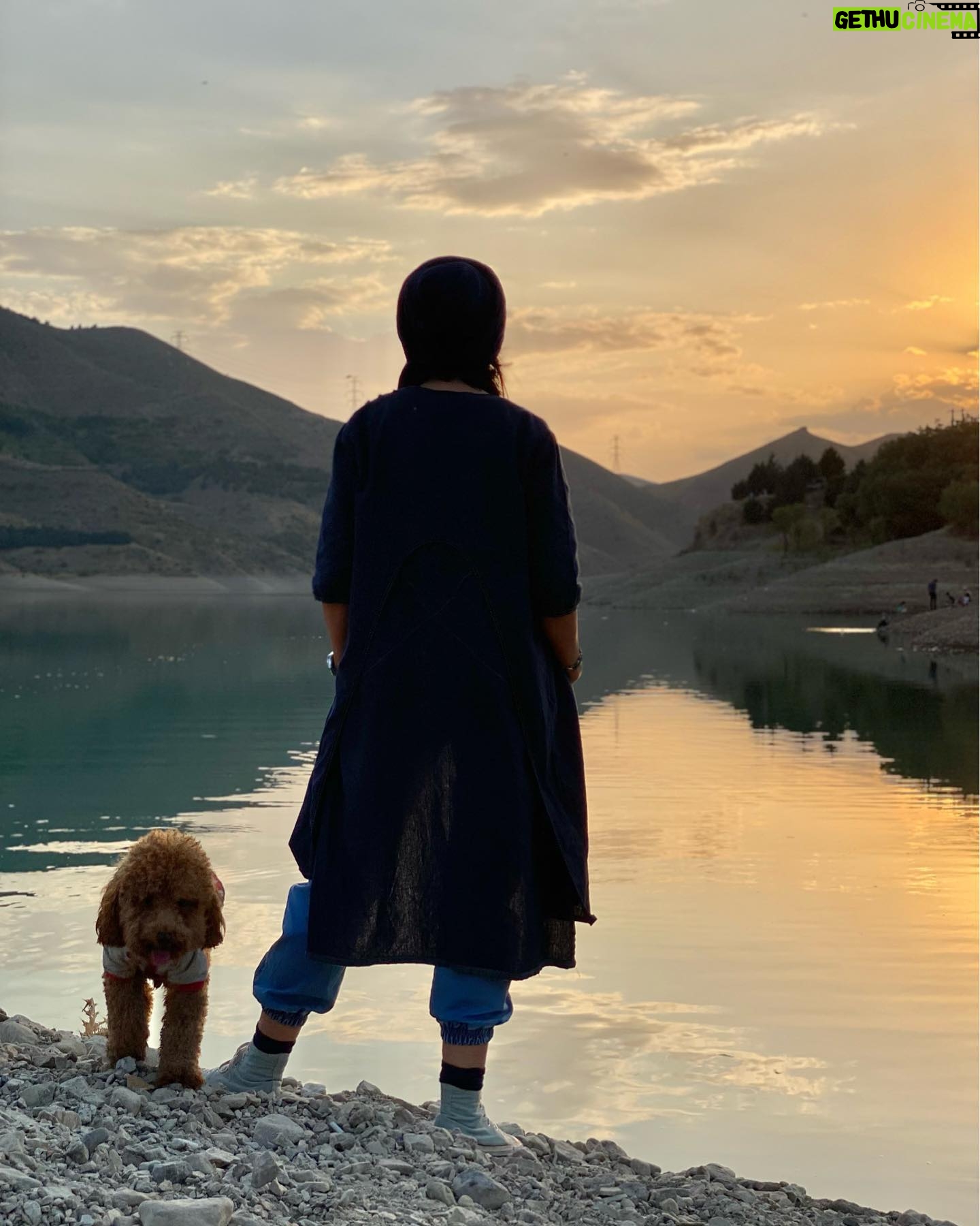 Leila Bolukat Instagram - میان ماندن و نماندن فاصله تنها یک حرف ساده بود از قول من به بارانِ بی امان بگو: دل اگر دل باشد آب از آسیاب علاقه اش نمی اُفتد... یه مرحله از زندگی هم وجود داره که بهش میگن "بی تفاوتی ناشی از صبر بیش از حد" که دیگه مثل گذشته برای نبودن ها بی قراری نمیکنی و قبول کردی کاری از دستت برنمیاد. و در آخر اون چه یاد گرفتم این بود که چجوری به تنهایی قوی باشم 🌱 #لیلا_بلوکات #روزگاری_که_میگذرد #مهربانی_زیباست #طبیعت_ایران #تنهایی_قویترت_میکند