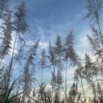 Lela Loren Instagram – Hoping your 2023 is a sweet as this sugar cane. ✨  Love and Blessings to you all and Happy Happy New Year 🎆
